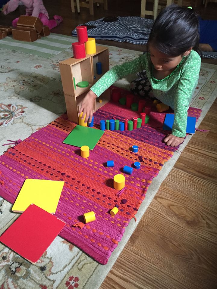Knob-less Cylinders - Healthy Beginnings Montessori House